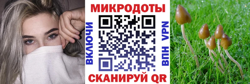 Купить закладки Велиж Псилоцибиновые грибы Psilocybe
